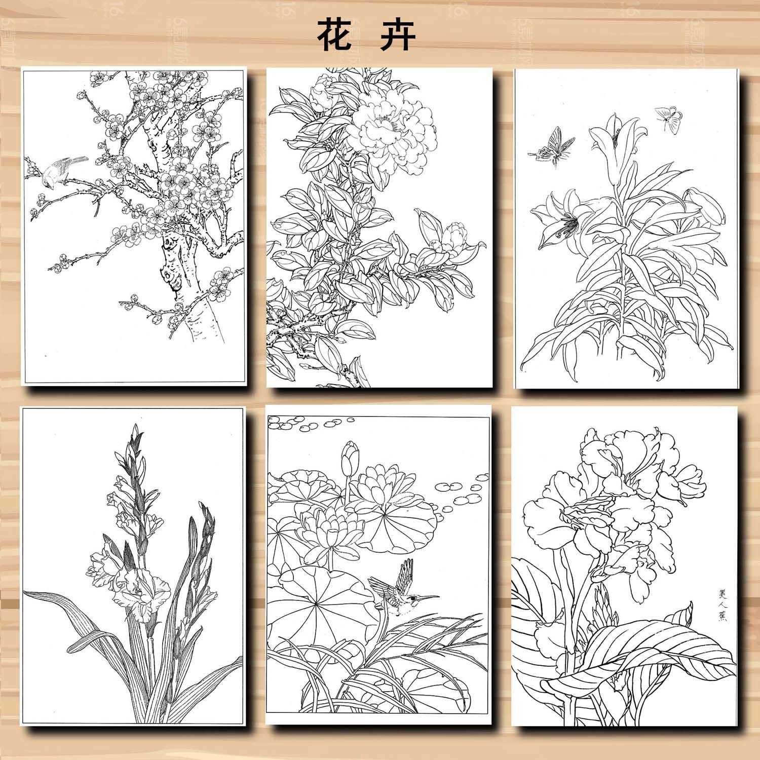 Meticulous Painting Line Drawing Manuscript Traditional Chinese Painting Flowers Birds Characters Animals Line Draft Rice Paper: PURPLE