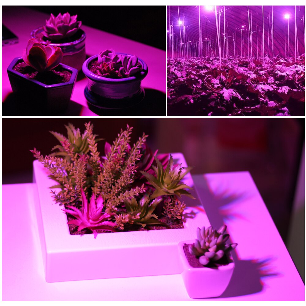E27 LED Grow Light Plant Growth Lights for Indoor Plants Flower Vegetable 5W/9W/12W/15W Red Blue UV IR Led Growing Lamp