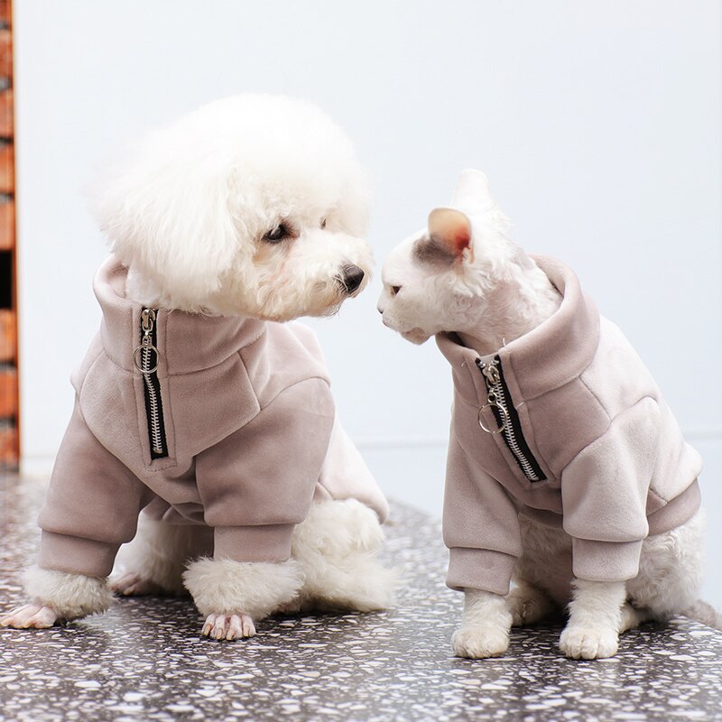 Kuoser Hondentrui, huisdier gebreide trui winter warm vest voor kleine en middelgrote honden, puppy coltrui gebreide kersttrui, hond koud weer jas kerstkostuum doggie sweatshirt, XS-XXL