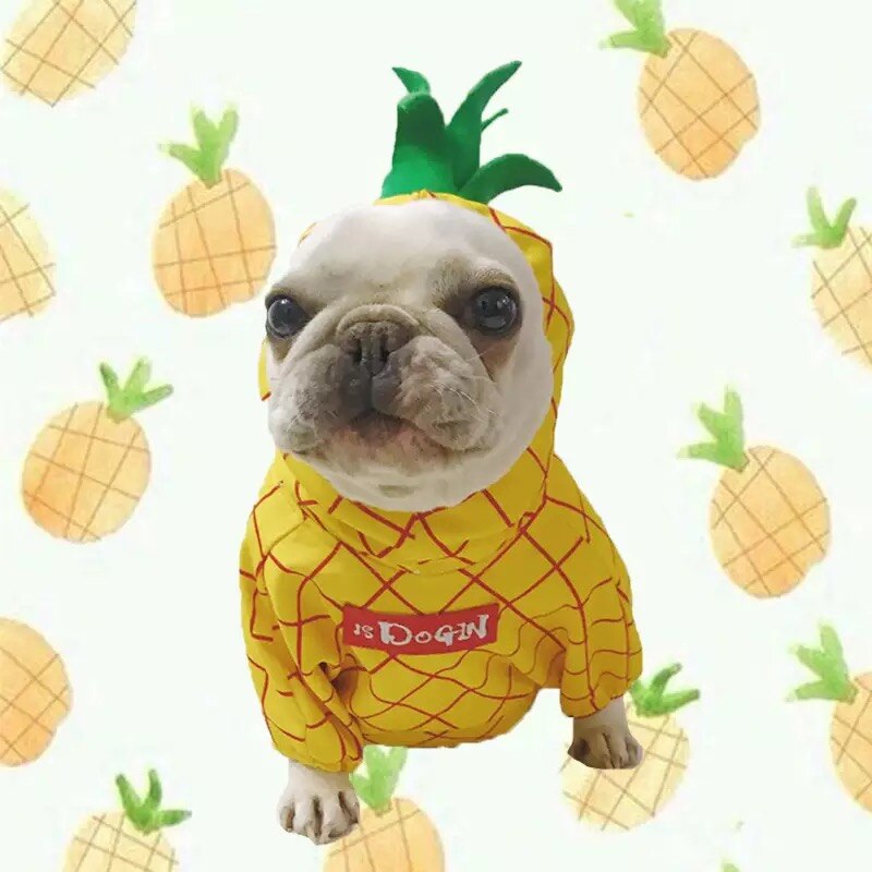 Funny Fruit Puppy Costume Pet Dog Clothes for Small Dogs Chihuahua Pug Cute Hoodies French Bulldog Apple Pineapple Apparel ZZC02