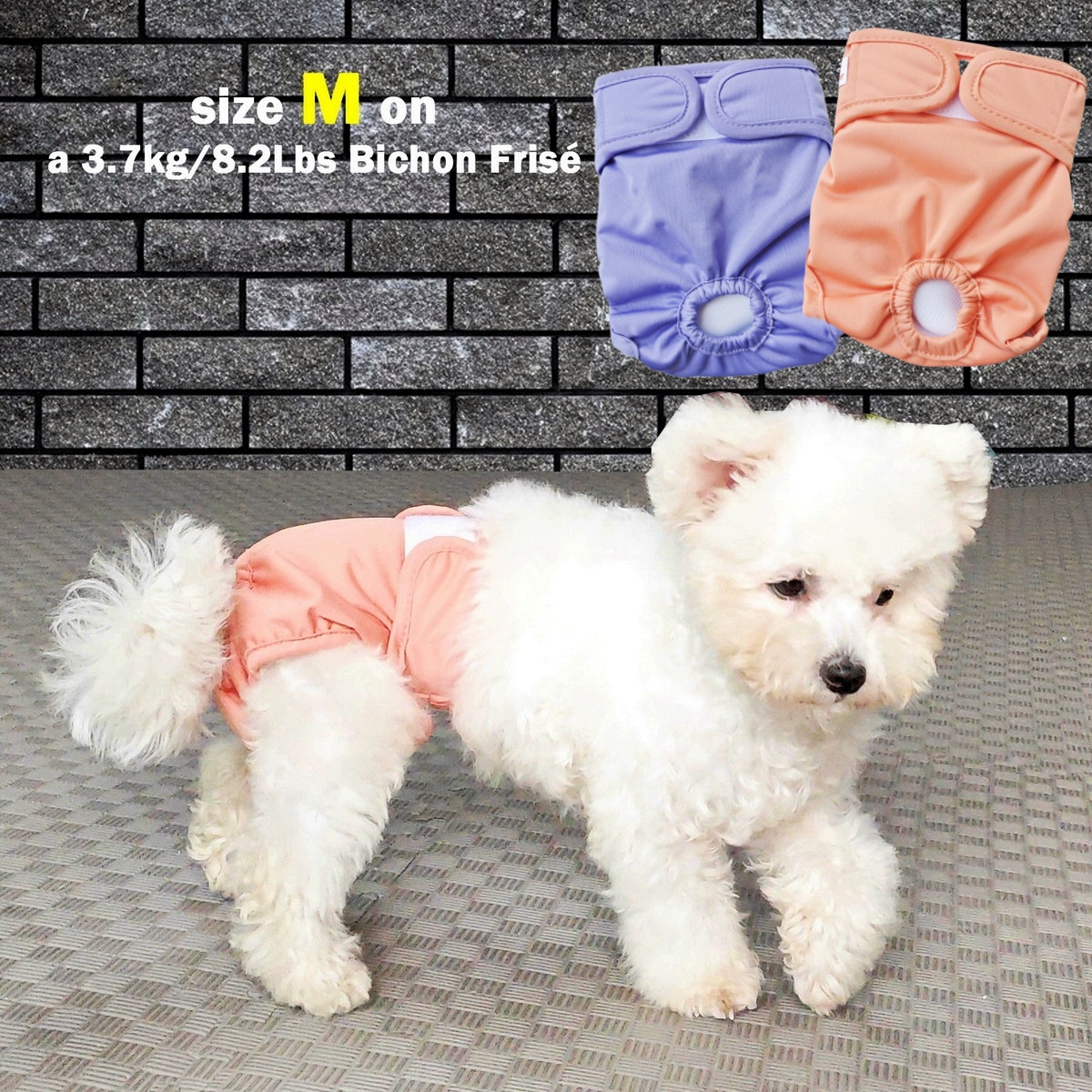 Hundewindel für hündinnen, physiologische hygienehose, wiederverwendbare windel, bauchschutz, hoch saugfähig, auslaufsicher, urinhose