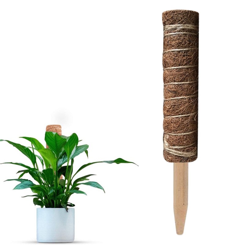 Support végétal Totem pôle Coir poteaux soutenir les plantes d'intérieur pour pousser vers le haut-utiliser des pôles de mousse individuellement ou ensemble