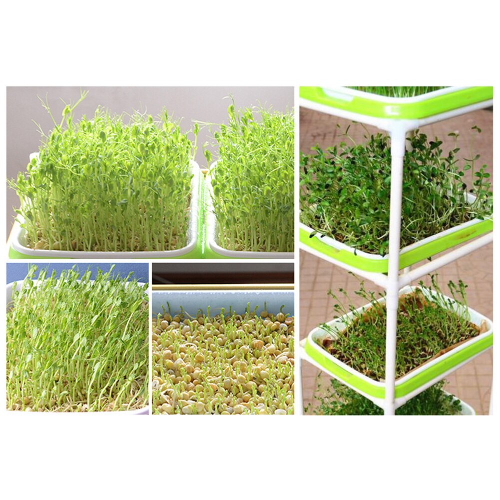 Zaad Kiemen Lade Houder Bodem-Gratis Planter Zaailing Pot Hydrocultuur Container