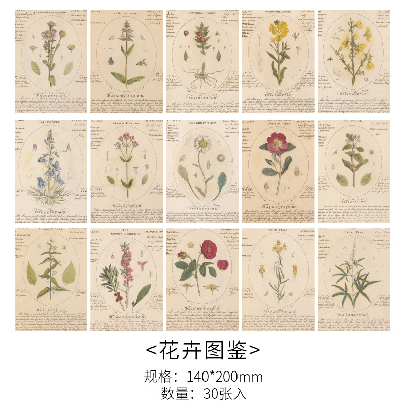 30 hojas de papel de Material estético de estilo Retro, planificador de diario basura, álbum de recortes, papel de fondo decorativo Vintage para manualidades Diy: Verde