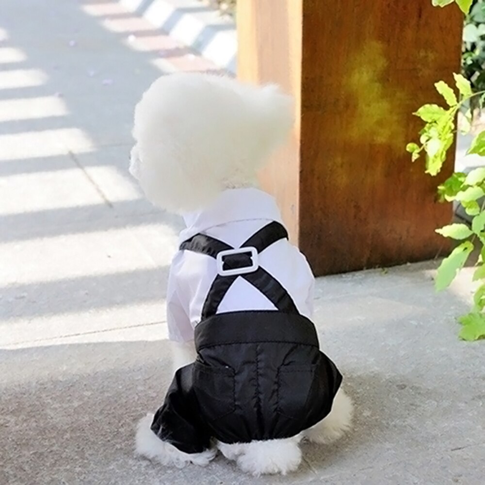 Perro cachorro de peluche caniche Chihuahua abrigo guapo mascotas traje de perro ropa de boda mascota esmoquin del príncipe pajarita Mono para cachorro