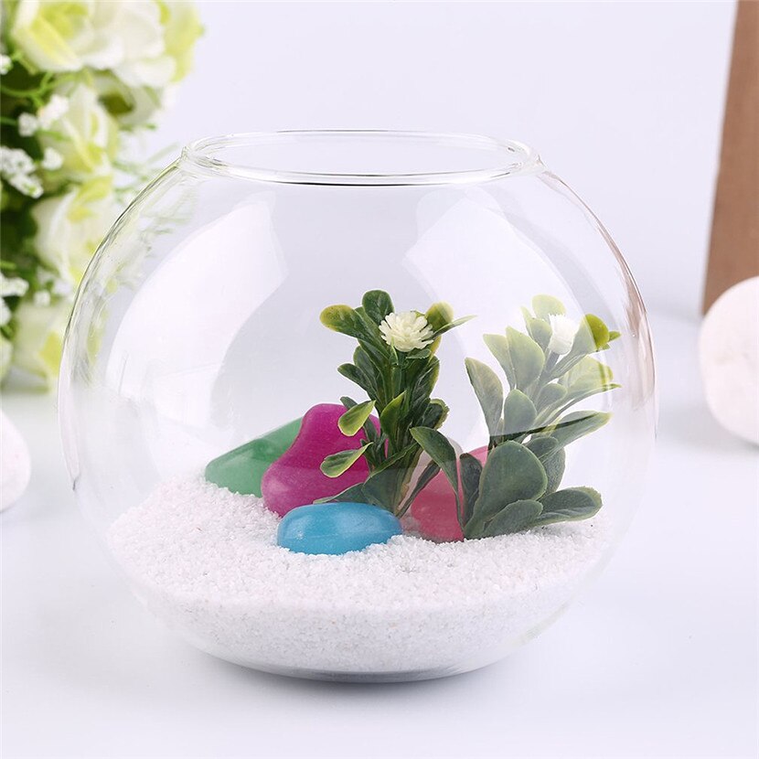 1 Set Diameter 10 Cm Transparent Micro Meaty Bryophytes Landscape Glass Vase Bottle With Cover Home Wedding Decor Craft