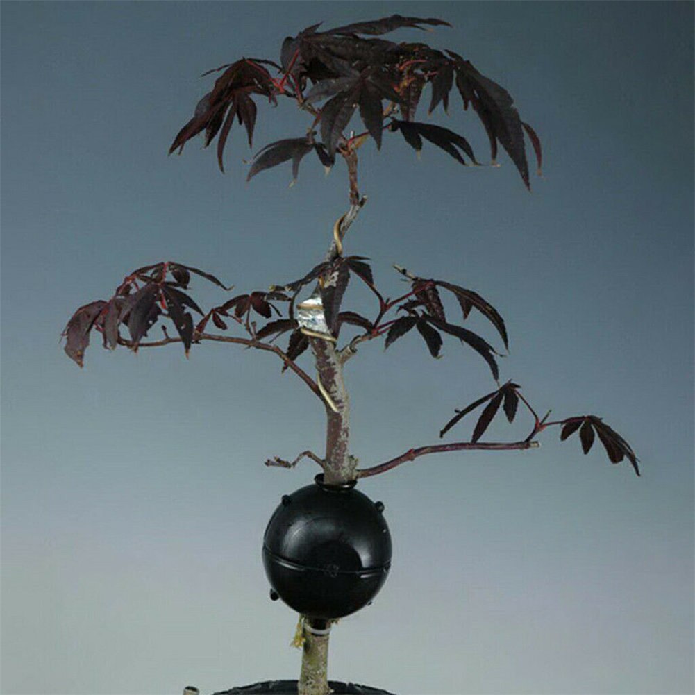 High Pressure Propagation Growth Equipment Botany root controller Plant Rooting Device Nursery Rooting Box Garden Supplies @LS