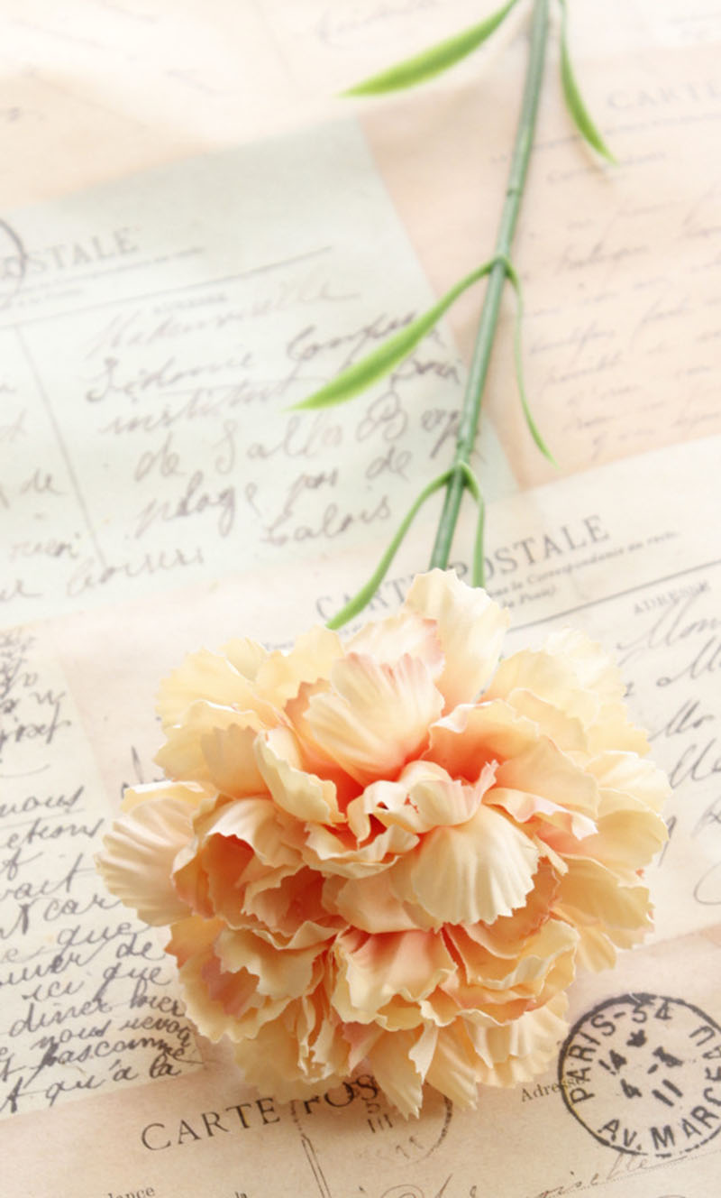 5pcs of silk Carnation 50cm Artificial flowers bouquet for mother&#39;s valentine birthday party garden room decor: Champagne