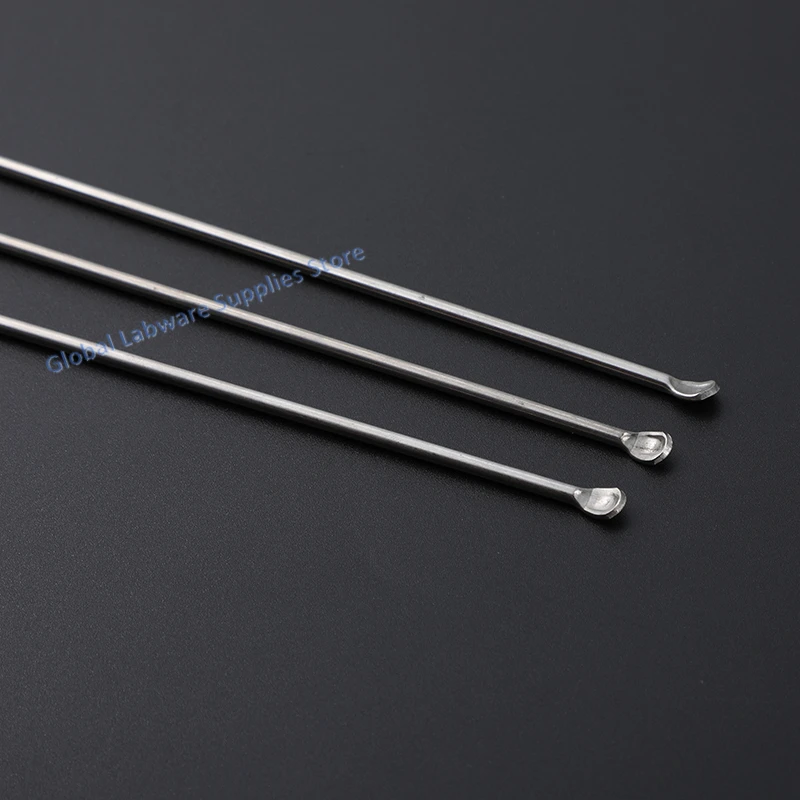 Cuchara Raspador Medicinal Inoxidable - 220mm Cucharón de Laboratorio - Cuchara Pequeña