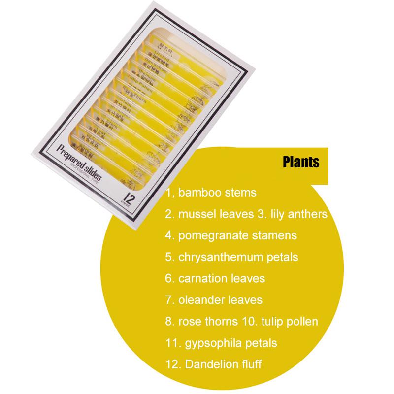 1200X Student Monocular Biological Microscope Set LED Home School Science Educational For Kids Child Lab Optical Instruments: Yellow