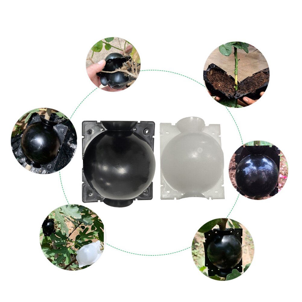 Plant Rooting Device Propagation Ball Growing Assisted Air Layering Garden Grafting Cutting High Pressure Box Durable Breeding