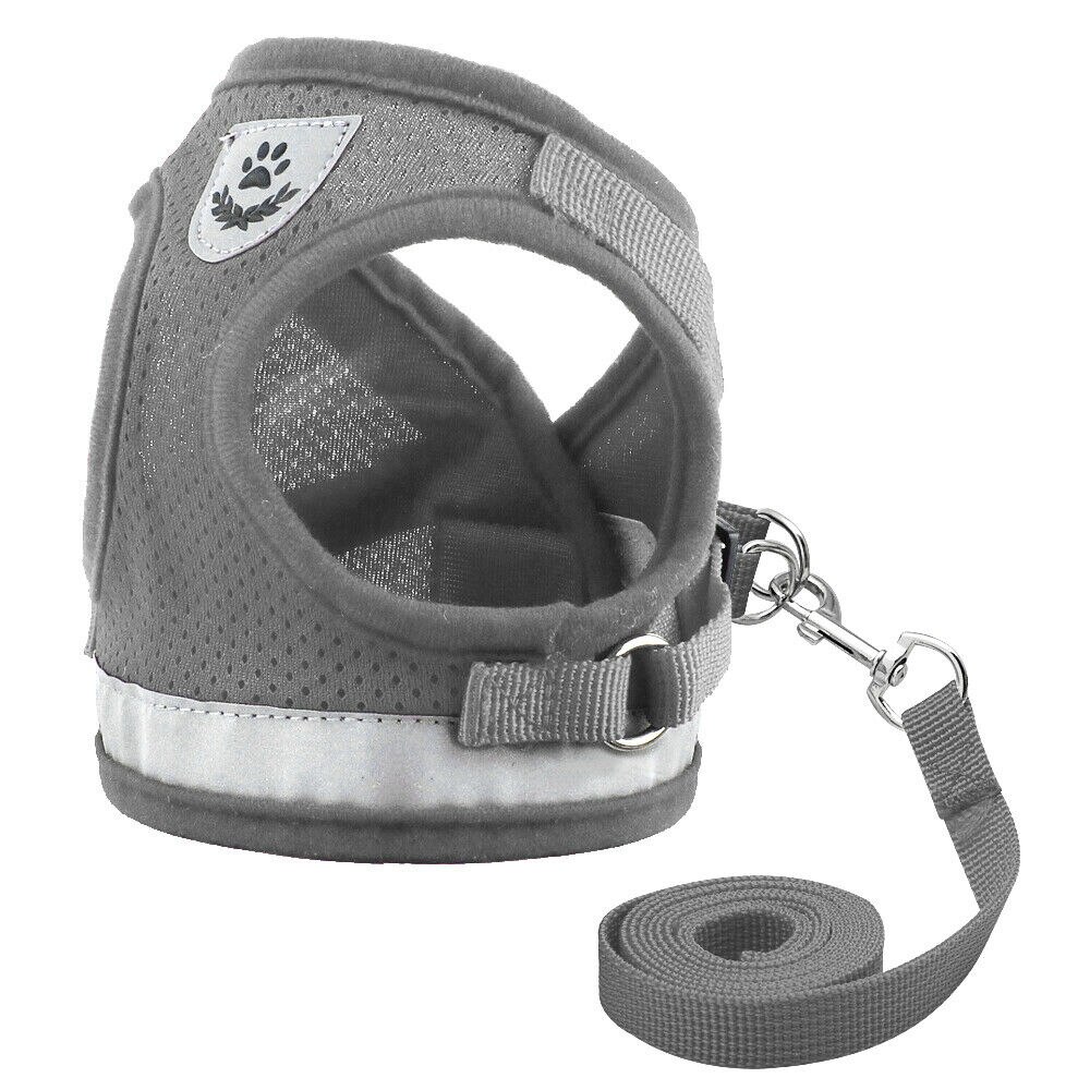 Embroidered Cat Walking Harness with Lead Leash for Cats and Puppies, Vest Style Chest Strap Harness: gray / L