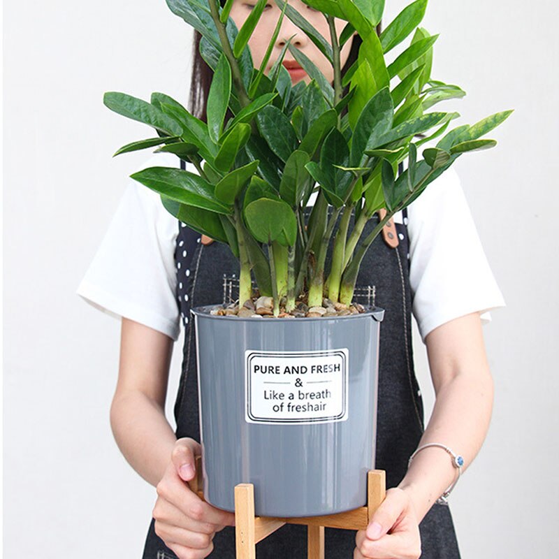 Plant Stand Indoor Wood Flower Pot Holder Wooden Display Potted Rack Modern Home Living Room Hotels Offices Gardening Decor Tool