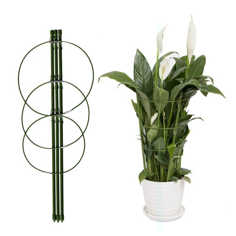 Hållbart klätterranka växtstöd 45cm/60cm plastbelagda järn växtstöd ram trädgård balkong växt blomma spaljé