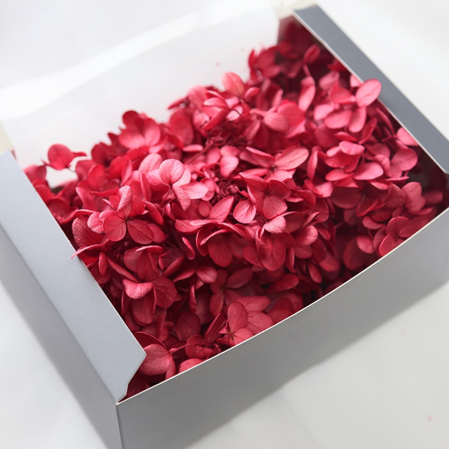 20g naturlige frisk hortensia tørket blomsterhode gjør-det-selv ekte evigblomstmateriale langtidskonservering falmer ikke: 3