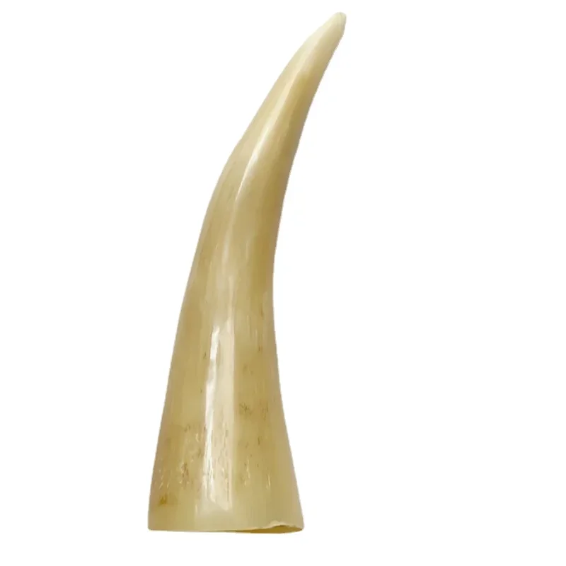 Ventosa de fuego, masaje de cuerno de Yak amarillo, tubo de raspado de cilindro de pie, taza decorativa: Negro