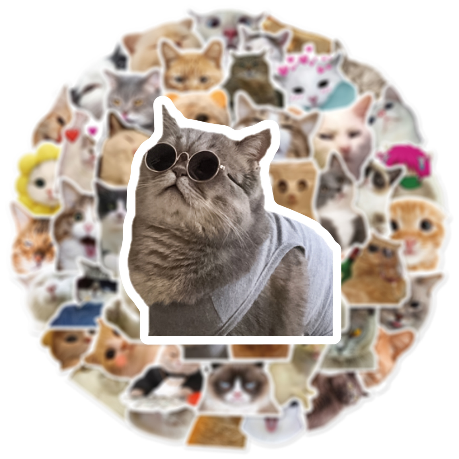 10/30/50 PIÈCES À La Mignon Dessin Animé Réaliste Chat Graffiti Tasse Décoration Intérieure BRICOLAGE Étanche PVC Autocollant PersonaliToys