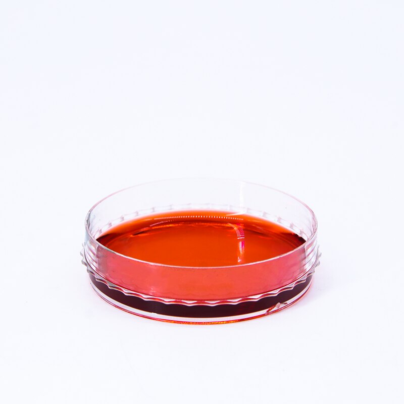 10 stück 75mm Glas Petrischale