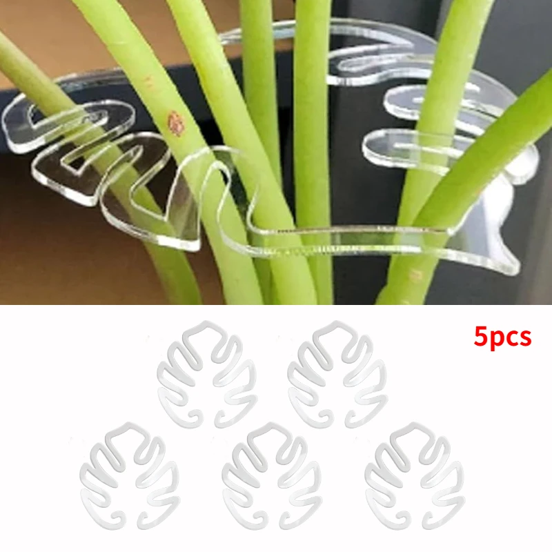 Turtle Shell Bamboo Clamp Set Monstera Grapple Plant Unique Aesthetic Monstera Plant Support Keeps Plants Tame Growing Vertical: Gold