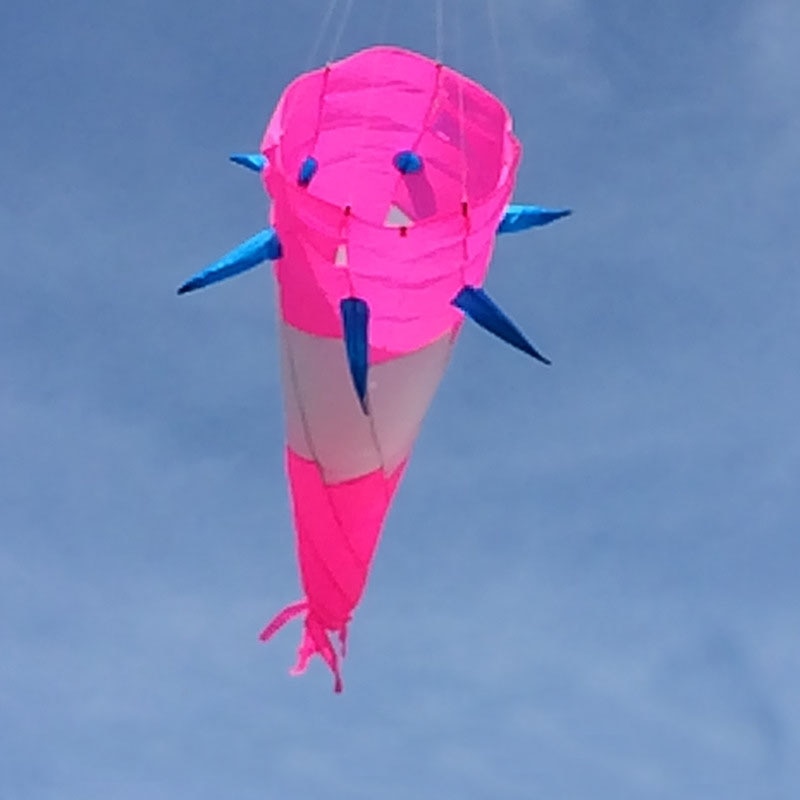 220 Cm Kite Windzak Spiraal Twist Kite Outdoor Rainbow Vlieger Staart Voor Stunt Kite Hanger Zachte Opblaasbare Kite Scheurvast Opvouwbare