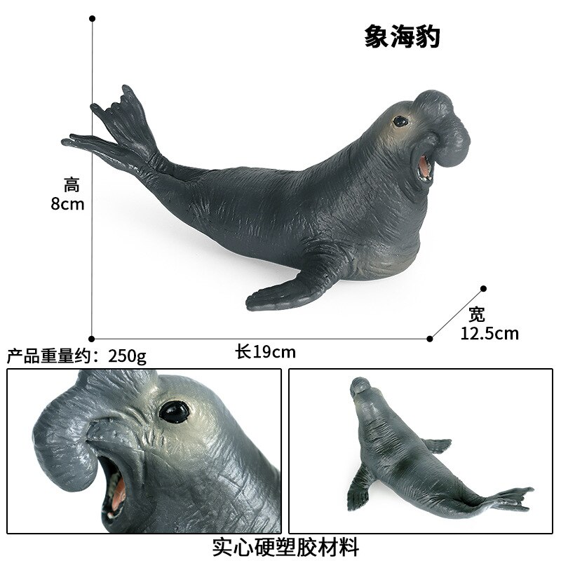 Simulatie Oceaan Dier Seal Zeeleeuw Walrus Model Action Figure Beeldjes Collectie Cognitie Educatief Childrens Toys: M-1653