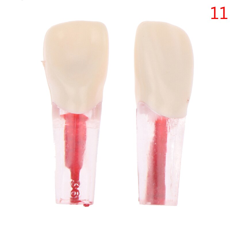2 uds. De resina endodoncia Dental, modelo de diente Endo, limas de conducto radicular, práctica de pulpa: N11
