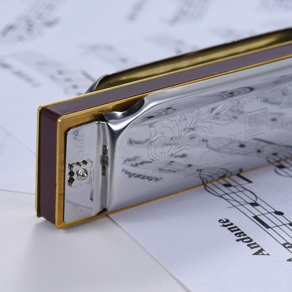 Suzuki 1072- c standard 10- huls mundharmonika folkmaster diatonisk mundharmonika nøgle af  c 20 tone til nybegynderstuderende