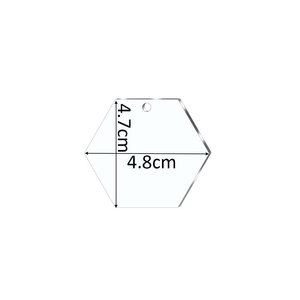10Pcs/Lot Clear Acrylic Round Blank Keychain Pendants Heart Dog Bone Shape Discs Pet Hanging For DIY Jewelry Making Accessories: Hexagon