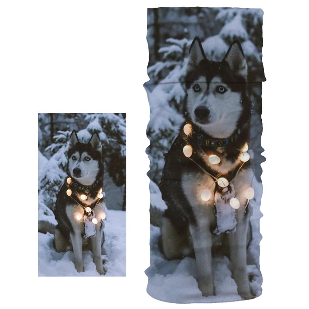 Neue Staubdicht Schal Nette Hund Haustier aufbringen unisex Magie Rohr Schal Weichen, Elastischen Material Joggen Sport Fitness Stirnband Armbinde: 07