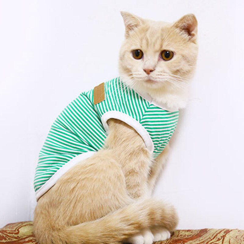 Gilet à rayures pour chat, chemise classique, vêtements pour animaux de compagnie, Ropa Para Gato Katten Kleding Kedi Giyim, vêtements pour animaux de compagnie
