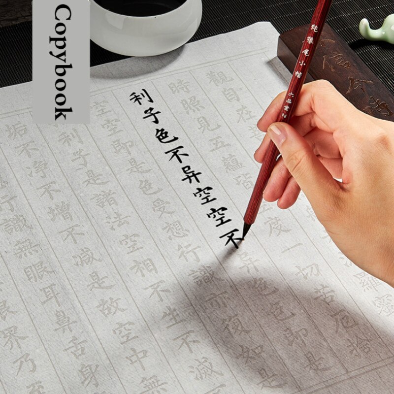 Chinese Copybook LiuGongquan Brush Pen Calligraphy Copybook Regular Script Chinese Character Practice for Beginners