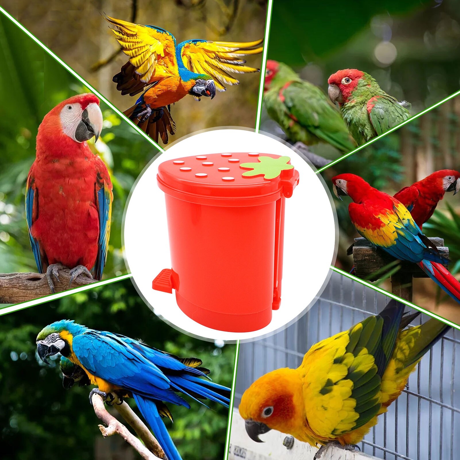 Papegaai Truc Training Speelgoed Interactieve Kleine Prullenbak Speelgoed Lovebirds Onderwijs Speelgoed Voor Kleine Huisdier Vogel Gunsten Vogel Accessoires