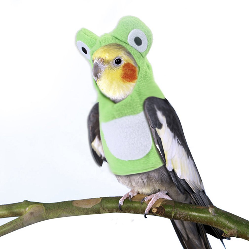 Pet Bird Clothes Parrot Frog Costume Pet Parrot Frog Clothes Pet Bird Costume Cosplay Frog Clothes