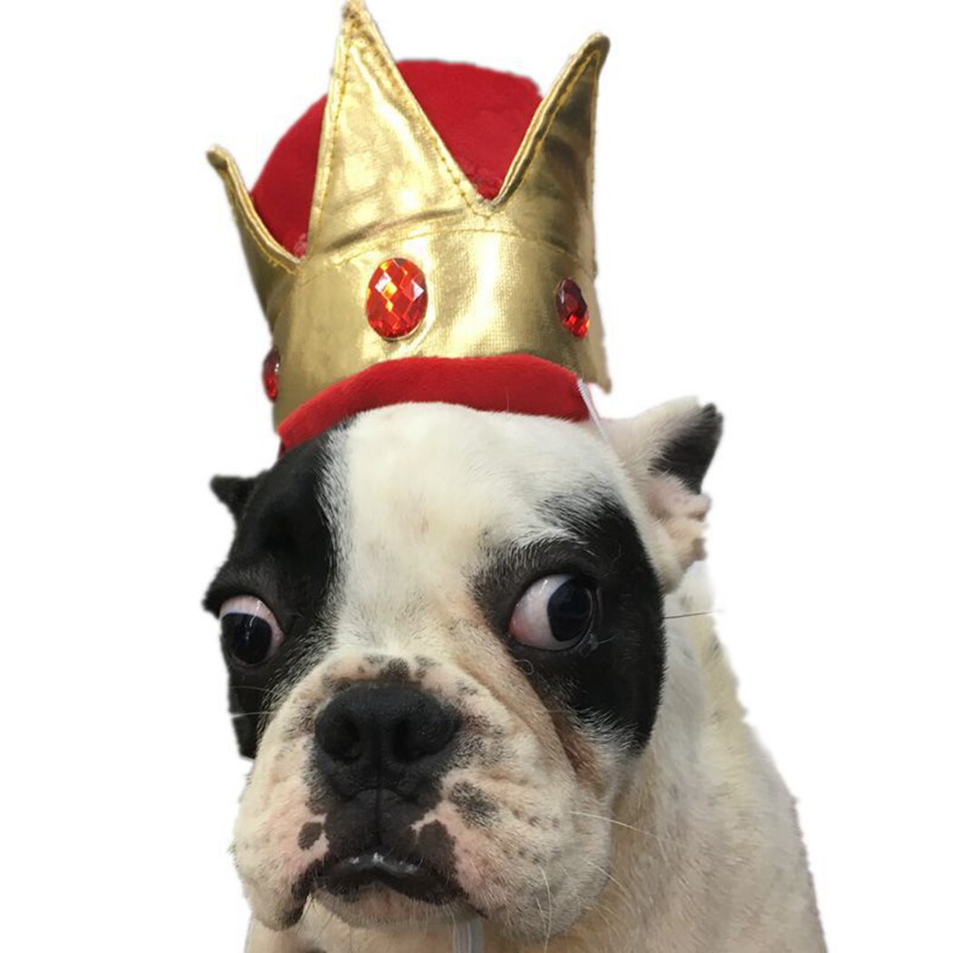 Cappello da compleanno per animali domestici corona carina cappellino da compleanno in cristallo cane copricapo divertente per cani gatti cappello da re per animali domestici festa per animali Cosplay Prop