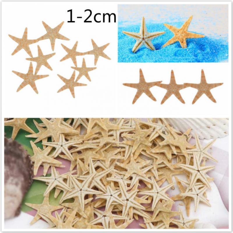 50pc minitähtiä meritähti kuori rannalla häät askartelu itse tehdä sisustus miniatyyri