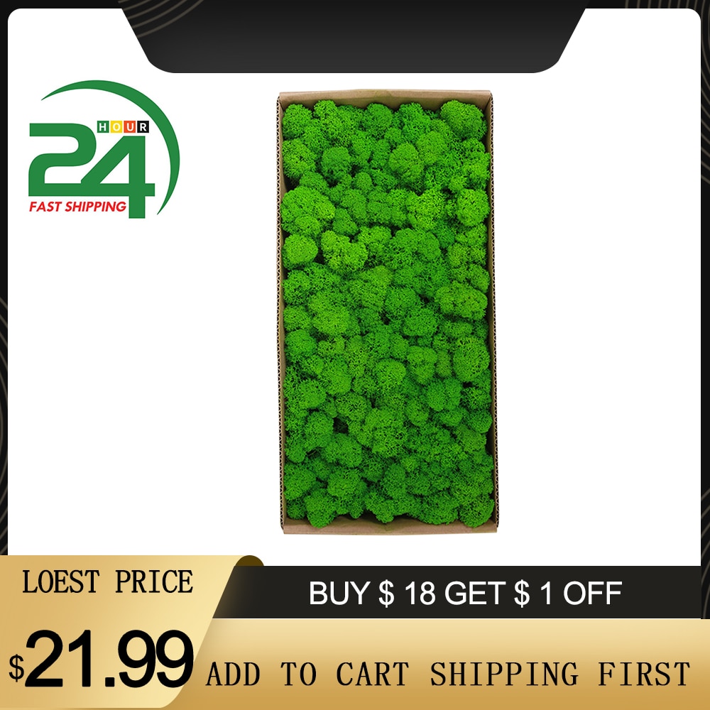 Preserved Moss Wall Decor Real Preserved Moss No Maintenance Required Naturally Preserved Moss Home Wall Party Festivals Crafts