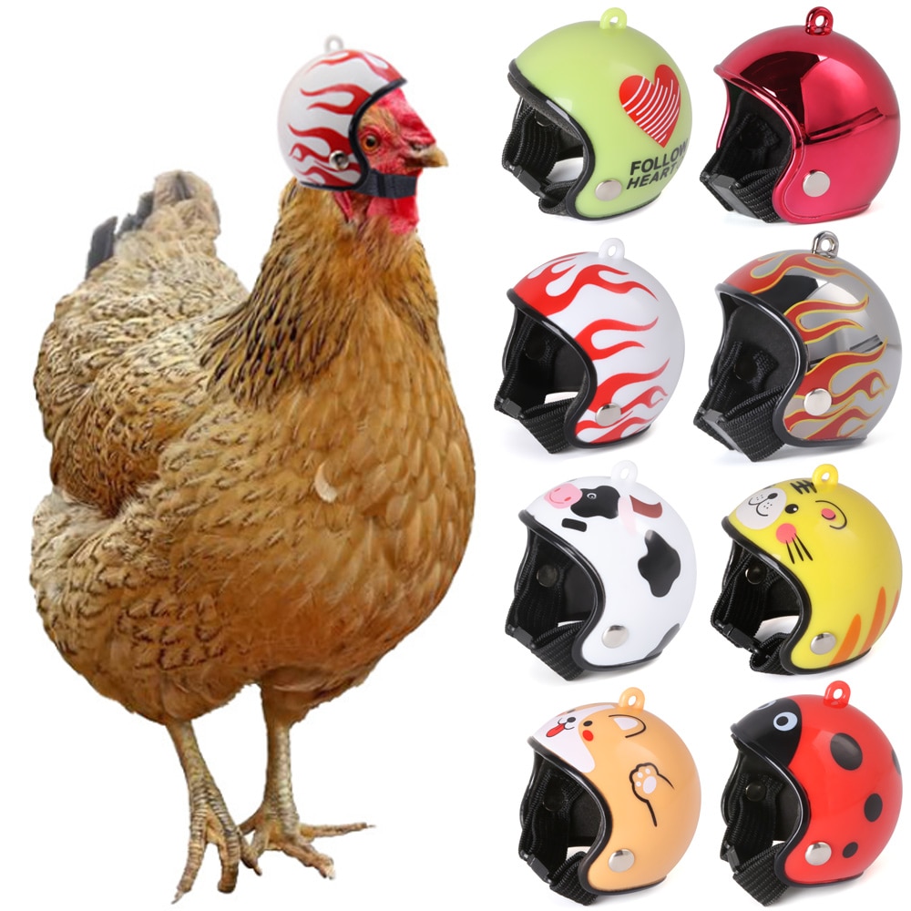 Pet Chicken Helmet Small Pet Hard Hat Bird Duck Quail Hat Headgear Pet Chicken Helmet Bird Head Helmet Pet Supplies Protect Cap