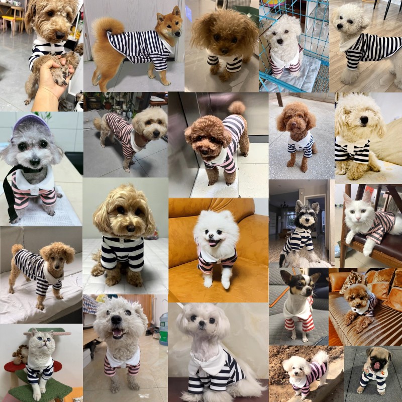 Mode Hond Gestreept Shirt Zomer Puppy Kleding Leuke Kat Vest Ademend Hond Dun Shirt Huisdier Kitten Kleding Chihuahua Kleding