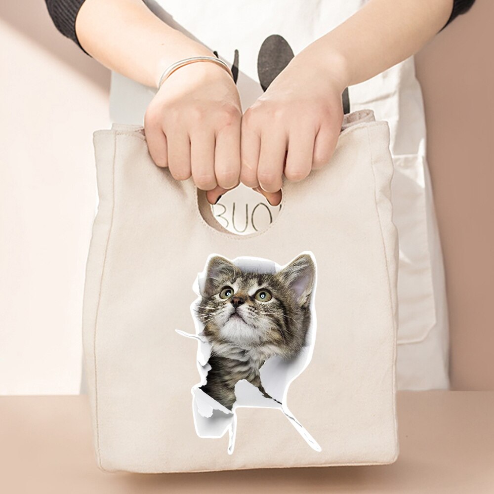 Gecontracteerde Stijl Geïsoleerde Lunch Tas, Duurzaam Bento Pouch, Thermische Lunch Box, Cooler Tassen, kat Print Lunch Container Bag: 5Cat009