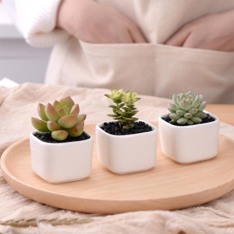 Brief White Ceramic Flower Pot Small Square Green Plant Holders Flower Container Pot Desk Balcony Garden Mini Plant Pot