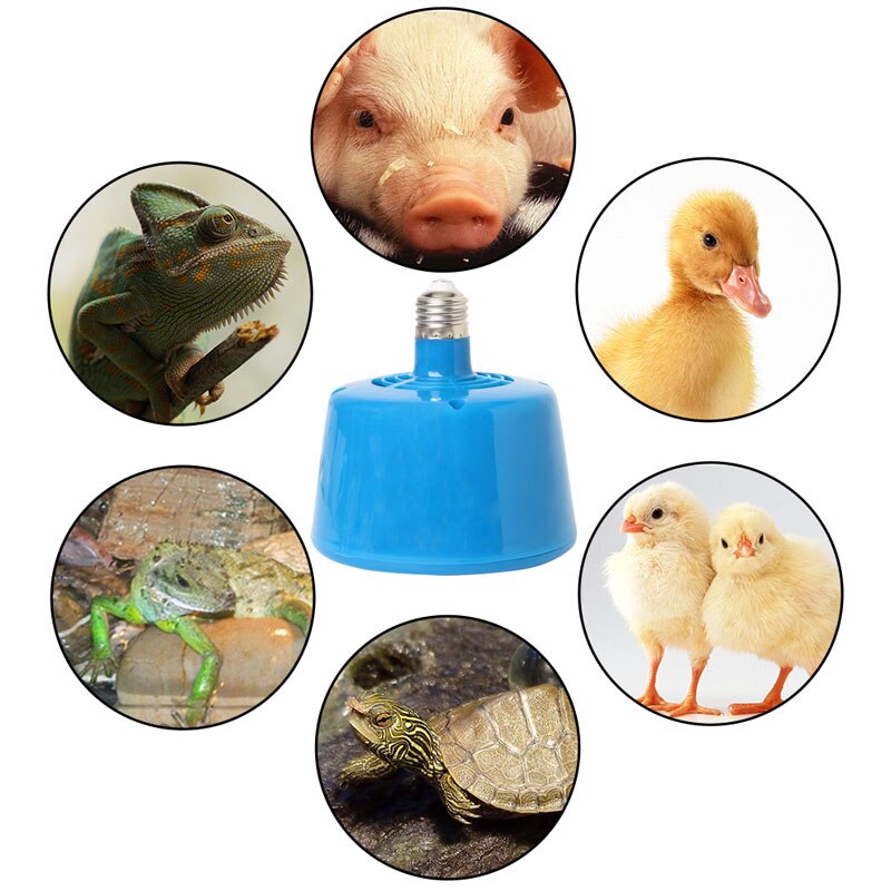 Pets Livestock Piglets Chickens Heat Warm Lamp Keep Warming Bulb 220V 100-300W