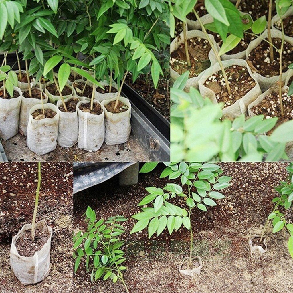 500 stk børnehaver frøplanteposer ikke-vævede stoffer haveforsyning 8 x 10cm blomsterkimplante maceteros plasticos para plantas #30