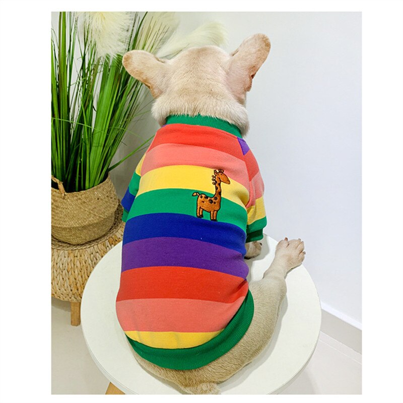 Kissa pentu koira huppari pomeranian yorkshire villakoira bichon snautseri mopsi vaatteet ranskanbulldogin vaatteet corgi puku lemmikkiasu
