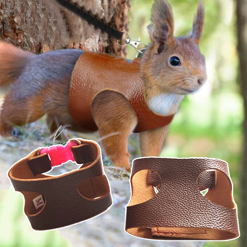 1 pc ekorrträningskoppel delad västtyp ekorrträningsrep för små husdjur dragrep för hamster läder bröstrem