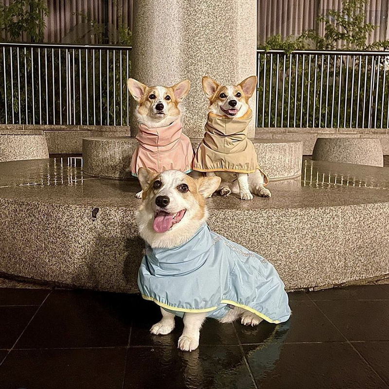 Reflektierender Hunderegenmantel, Traktionsregenmantel, wasserdichte, winddichte Katzenjacke für mittelgroße und große Hunde, Kleidungsoverall