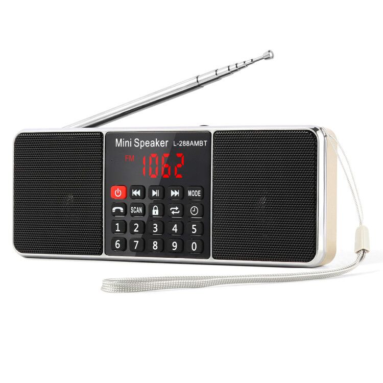 PRUNUS Digital Portable Radio Receiver AM FM Bluetooth stereo Speaker TF/SD Card MP3 Player USB Drive Handsfree Call LED Screen: Gold