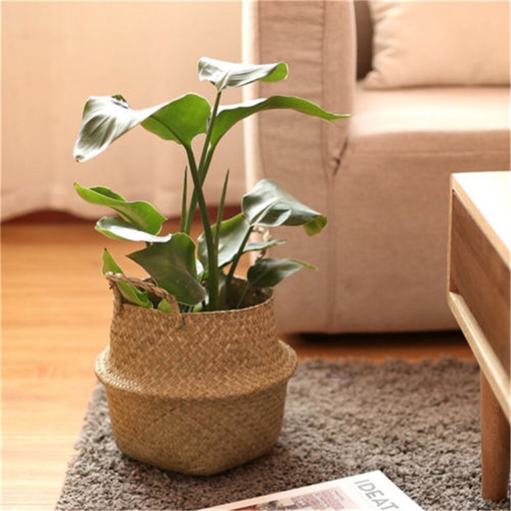 Cesta de almacenamiento plegable, cestas creativas para plantas acuáticas naturales de mimbre, paja, cesta plegable para macetas, proveedor de lavandería para jardineras: Púrpura