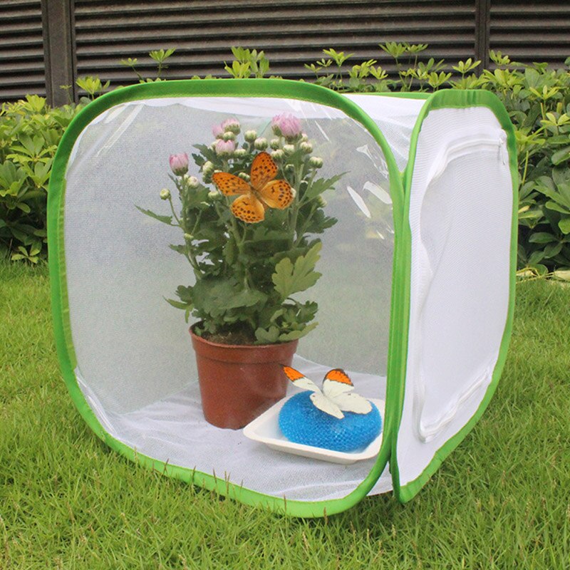 Insect Butterfly Kit Original Habitat Life Science Education Butterfly Kit Foldable Insect Cage Butterfly Garden PAK55