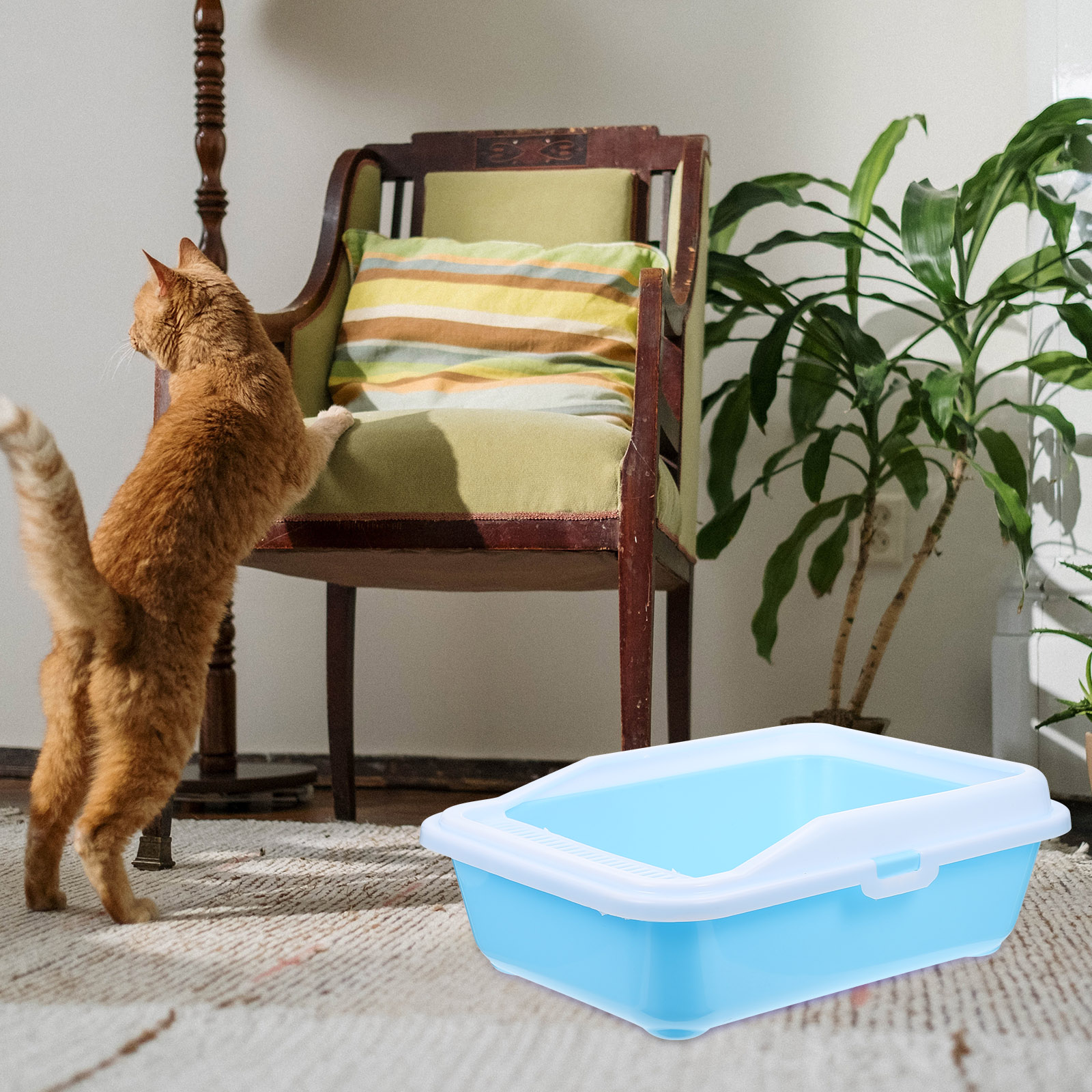 1pc Kot śmieci skrzynka anty-chlapanie Kot toaleta kotek nocnik Kot śmieci basen dla sklep