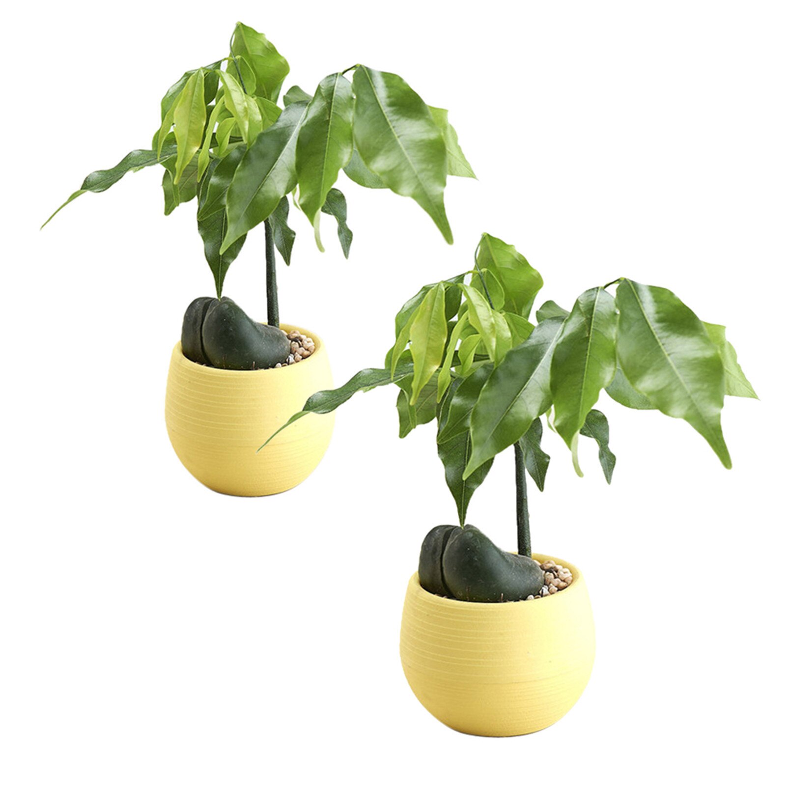 Watering Planter Handmade 2 Layer Self Watering Plant Flower Pot With Water Container Round Flowerpot Home Garden Decor: D